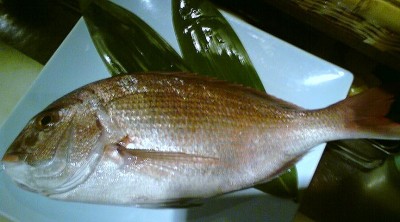 20100306175631