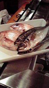 2010042813510000.jpg
